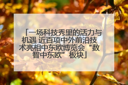 一场科技秀里的活力与机遇 近百项中外前沿技术亮相中东欧博览会“数智中东欧”板块