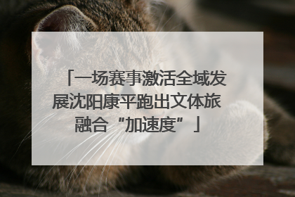 一场赛事激活全域发展沈阳康平跑出文体旅融合“加速度”