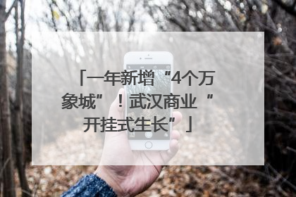 一年新增“4个万象城”！武汉商业“开挂式生长”