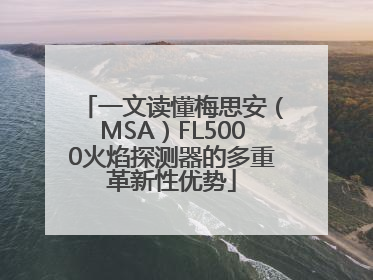 一文读懂梅思安（MSA）FL5000火焰探测器的多重革新性优势