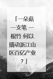 一朵菇 一支笔 一根竹 何以撬动浙江山区百亿产业？