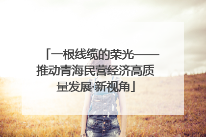 一根线缆的荣光——推动青海民营经济高质量发展·新视角