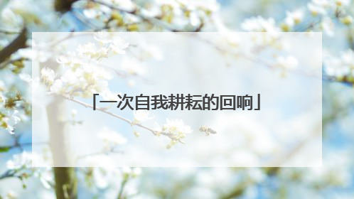 一次自我耕耘的回响
