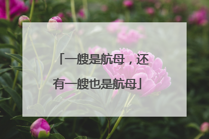 一艘是航母，还有一艘也是航母