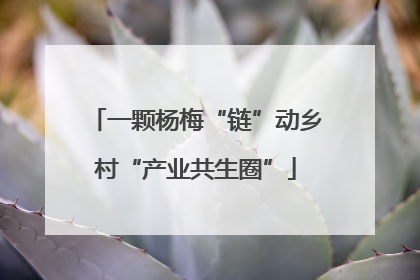 一颗杨梅“链”动乡村“产业共生圈”