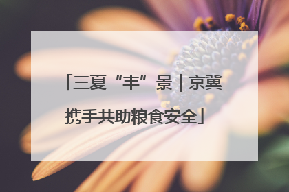 三夏“丰”景｜京冀携手共助粮食安全