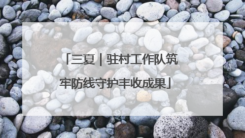三夏｜驻村工作队筑牢防线守护丰收成果