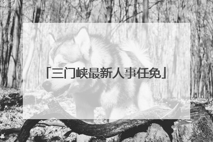 三门峡最新人事任免