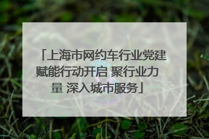 上海市网约车行业党建赋能行动开启 聚行业力量 深入城市服务