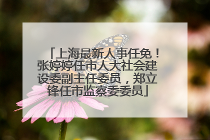 上海最新人事任免！张婷婷任市人大社会建设委副主任委员，郑立锋任市监察委委员