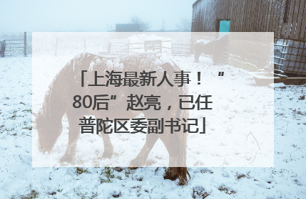上海最新人事！“80后”赵亮，已任普陀区委副书记