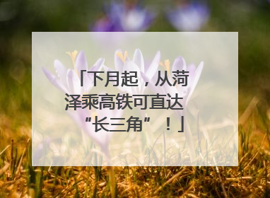 下月起，从菏泽乘高铁可直达“长三角”！