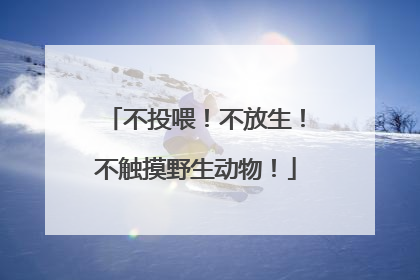 不投喂！不放生！不触摸野生动物！