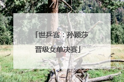 世乒赛：孙颖莎晋级女单决赛