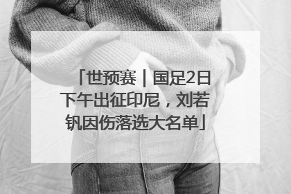 世预赛｜国足2日下午出征印尼，刘若钒因伤落选大名单