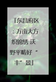 东昌府区：万亩大方织锦绣 沃野平畴好“丰”景