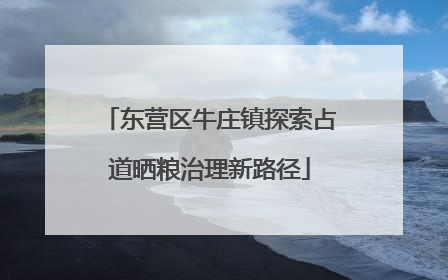 东营区牛庄镇探索占道晒粮治理新路径