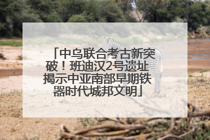 中乌联合考古新突破！班迪汉2号遗址揭示中亚南部早期铁器时代城邦文明