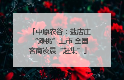 中原农谷：盐店庄“滩桃”上市 全国客商凌晨“赶集”