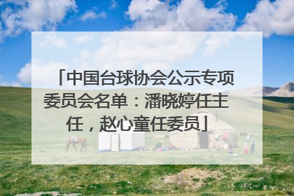 中国台球协会公示专项委员会名单：潘晓婷任主任，赵心童任委员