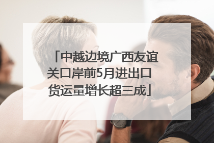 中越边境广西友谊关口岸前5月进出口货运量增长超三成