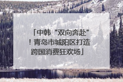 中韩“双向奔赴”！青岛市城阳区打造跨国消费狂欢场
