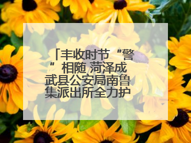 丰收时节“警”相随 菏泽成武县公安局南鲁集派出所全力护航大蒜收获季