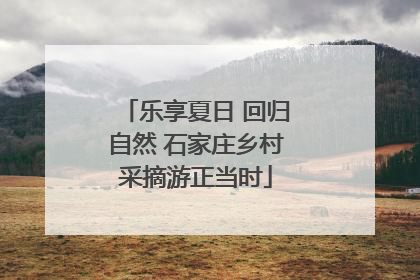 乐享夏日 回归自然 石家庄乡村采摘游正当时