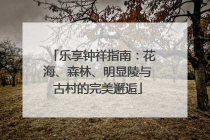乐享钟祥指南：花海、森林、明显陵与古村的完美邂逅