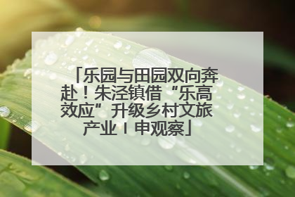 乐园与田园双向奔赴！朱泾镇借“乐高效应”升级乡村文旅产业〡申观察