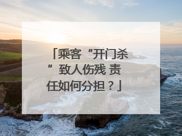 乘客“开门杀”致人伤残 责任如何分担？