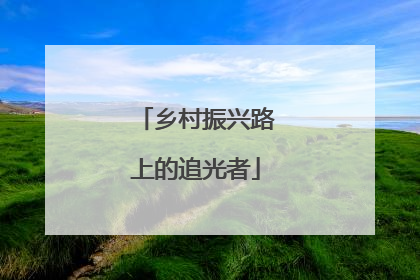 乡村振兴路上的追光者