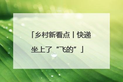 乡村新看点丨快递坐上了“飞的”