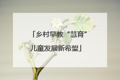 乡村早教“慧育”儿童发展新希望