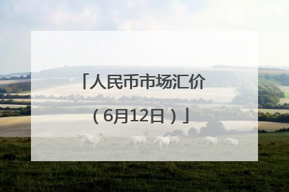 人民币市场汇价（6月12日）