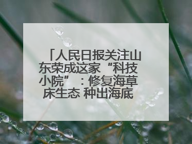 人民日报关注山东荣成这家“科技小院”：修复海草床生态 种出海底“森林”