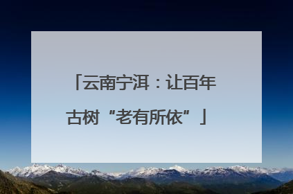云南宁洱：让百年古树“老有所依”