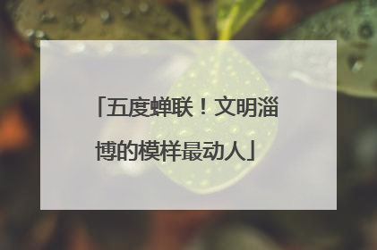 五度蝉联！文明淄博的模样最动人