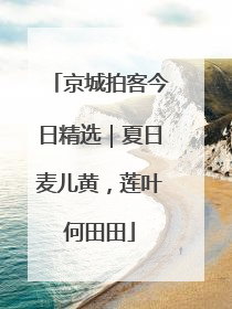 京城拍客今日精选｜夏日麦儿黄，莲叶何田田
