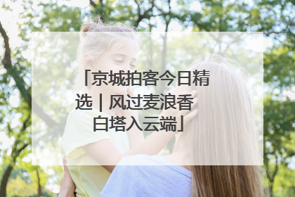 京城拍客今日精选｜风过麦浪香 白塔入云端