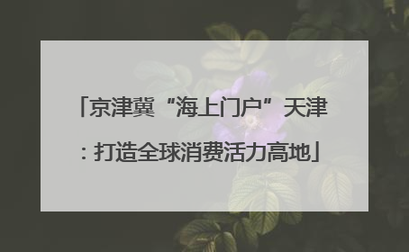 京津冀“海上门户”天津：打造全球消费活力高地