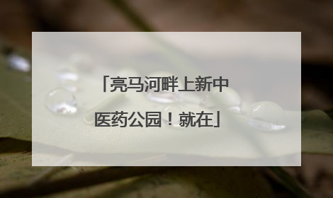 亮马河畔上新中医药公园！就在