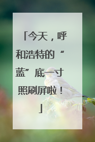 今天，呼和浩特的“蓝”底一寸照刷屏啦！