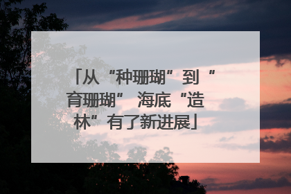从“种珊瑚”到“育珊瑚” 海底“造林”有了新进展