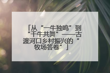 从“一牛独鸣”到“千牛共舞”——古渡河口乡村振兴的“牧场答卷”