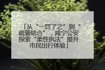 从“一罚了之”到“疏管结合”，咸宁公安探索“柔性执法”提升市民出行体验