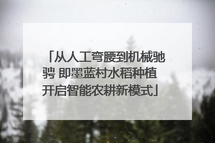 从人工弯腰到机械驰骋 即墨蓝村水稻种植开启智能农耕新模式