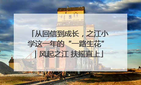 从回信到成长，之江小学这一年的“一路生花”｜风起之江 扶摇直上