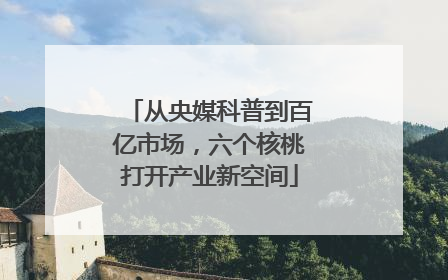 从央媒科普到百亿市场，六个核桃打开产业新空间