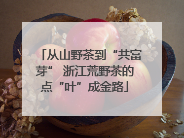 从山野茶到“共富芽” 浙江荒野茶的点“叶”成金路